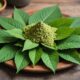 benefits and risks of kratom