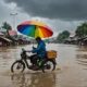 fried food seller resilience