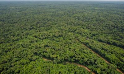 nasa s viral deforestation photo