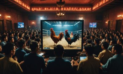 online cockfighting prevalence 2025