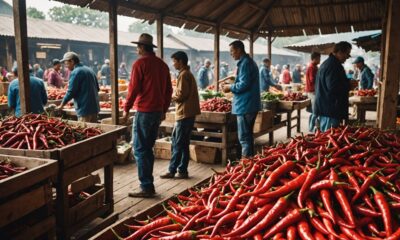 red chili prices drop