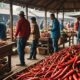 red chili prices drop