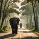 wild elephants on road